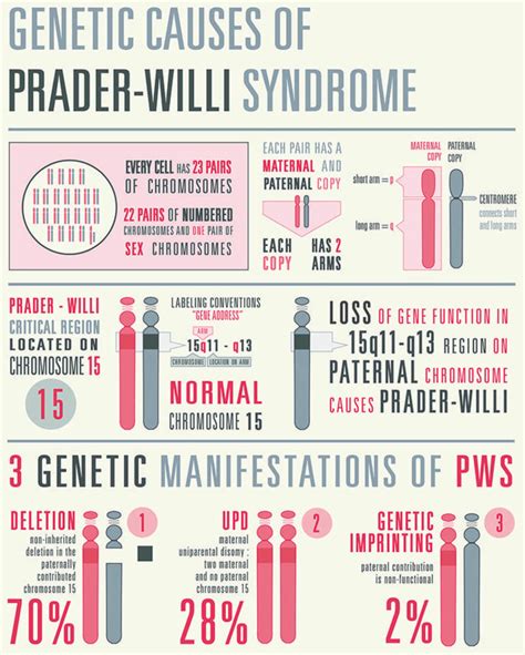 prada willi sex linked|Prader–Willi syndrome .